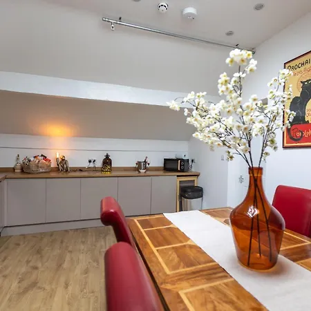 아파트 The Amazing Attik 스킵턴